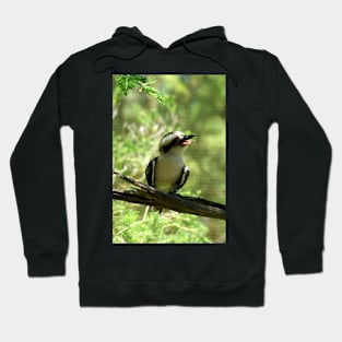 Laughing Kookaburra Hoodie